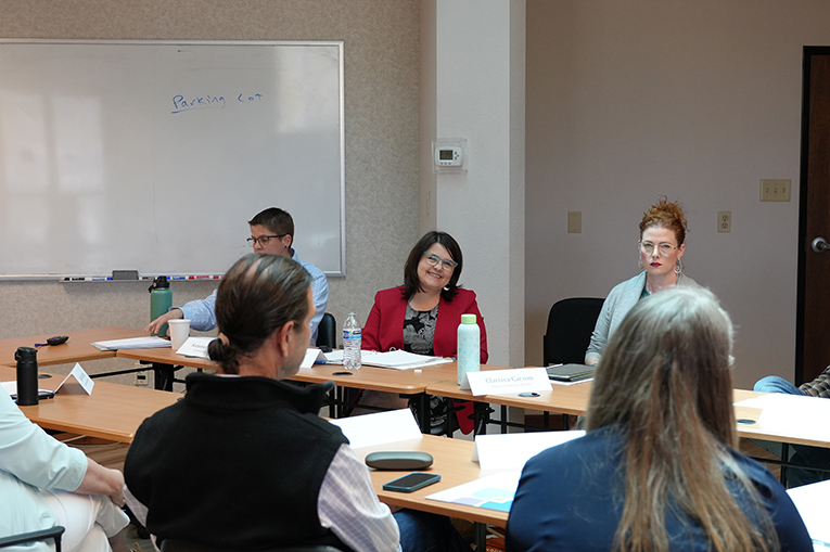 Behavioral Health Talent Council Meeting